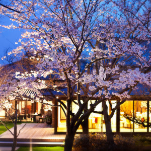 春には桜をながめながらのパーティーが叶う|樫野倶楽部の写真(28780082)