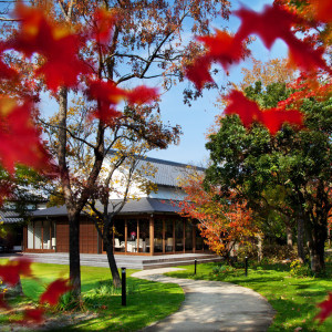 紅葉の季節も色鮮やかで美しいと人気|樫野倶楽部の写真(28780105)