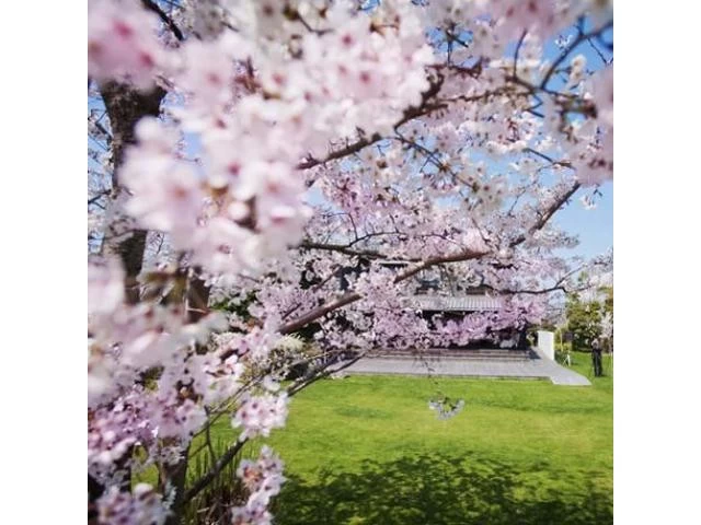 3600坪の広大な敷地を全館見学