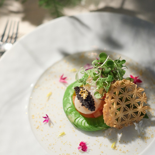 アイネス ヴィラノッツェ大阪（クラウディアホールディングスグループ）