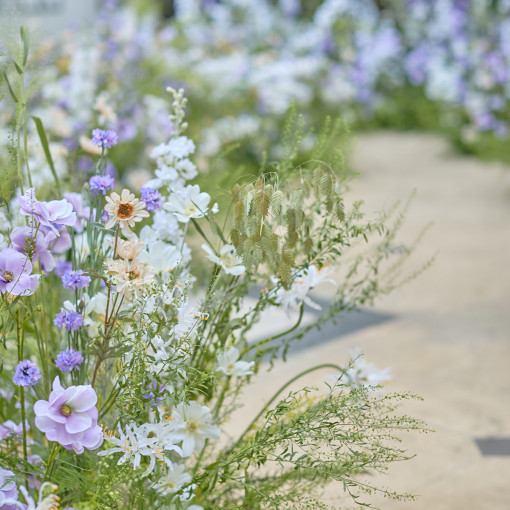 アイネス ヴィラノッツェ大阪（クラウディアホールディングスグループ）