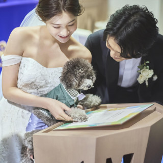 ペットも大切な家族の一員！署名に愛犬のかわいい手形もおすすめ♪