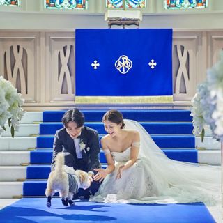 《挙式から披露宴までずっと一緒★》自由度抜群♪ペット婚相談会