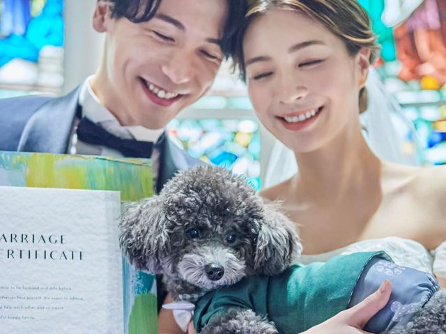 「ペット婚」で選ばれるアニヴェルセル大阪