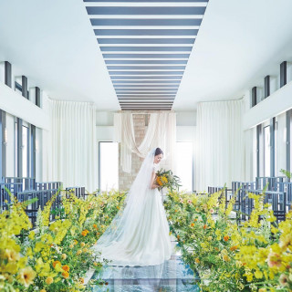 【水×光】選べる2つのチャペルで感動体験×結婚式まるごと相談