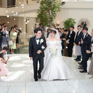 【フラワーシャワー】全天候型なので安心|LUMIAMORE（ルミアモーレ）の写真(50480833)