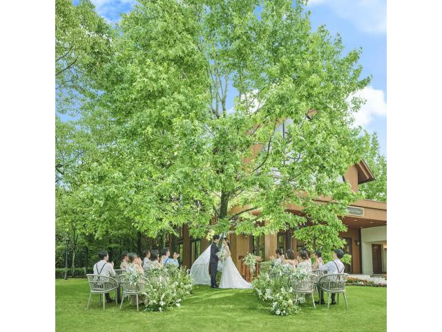 来館特典・成約特典