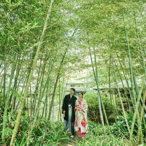 竹林の中での一枚。まるで山荘に居るかのような非日常感あふれる一枚を残すことができる|ART HOTEL NEW  TAGAWA(アートホテルニュータガワ)の写真(24444332)