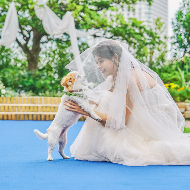 結婚式 格安 福岡 ペット