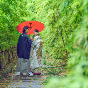 頬をなでるそよ風と木漏れ日を感じながら、記念日の舞台へ|響 風庭 赤坂の写真(42448459)