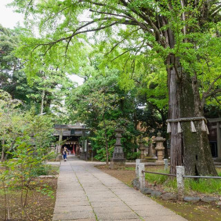 豊かな緑に囲まれ多くの文化財を持つ歴史ある神社