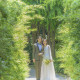爽やかな風と豊かな緑に包まれたテラス挙式