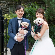 フェリーチェガーデン 日比谷