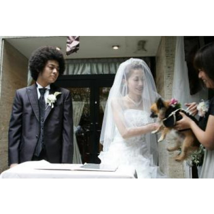 ワンちゃん演出 立会犬代表者署名 結婚式 二次会のgood演出bad演出 余興