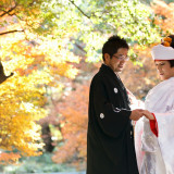 紅葉の庭園と