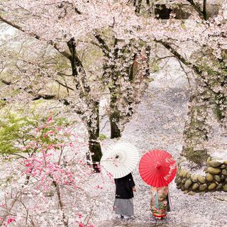 迎賓館 サクラヒルズ川上別荘のドレス・衣装の写真（10枚目）
