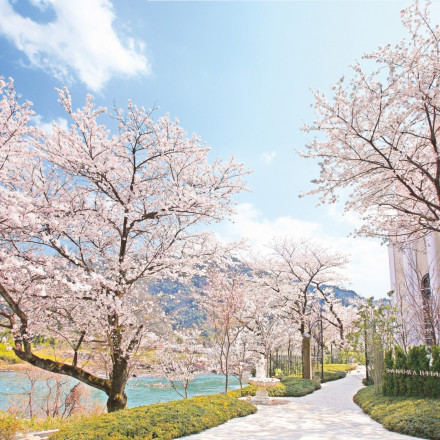 迎賓館 サクラヒルズ川上別荘
