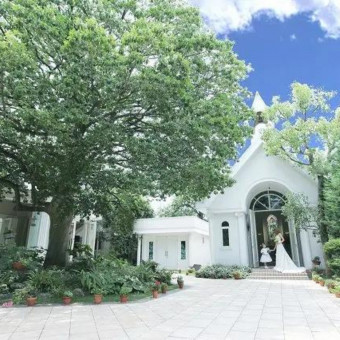 アンジュ・デ・ラヴィ