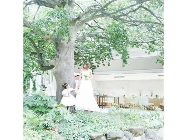 アンジュ・デ・ラヴィ