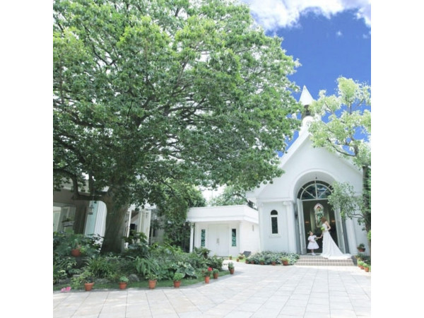 アンジュ・デ・ラヴィ