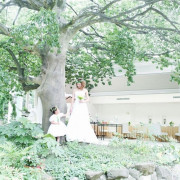 アンジュ・デ・ラヴィ