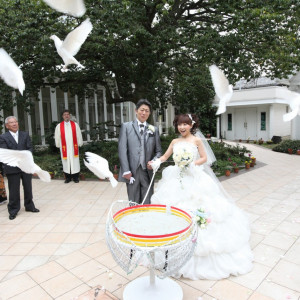 幸せの白いハト|アンジュ・デ・ラヴィの写真(973369)