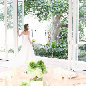 テラスから大きな木を眺める|アンジュ・デ・ラヴィの写真(353426)