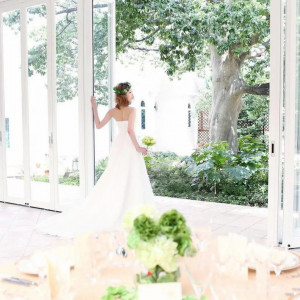 .|アンジュ・デ・ラヴィの写真(28840785)