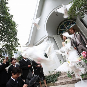 平和と幸せの象徴白いハト!|アンジュ・デ・ラヴィの写真(220606)