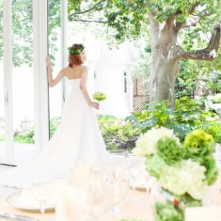 200着から自由に選べるドレス試着&相談会