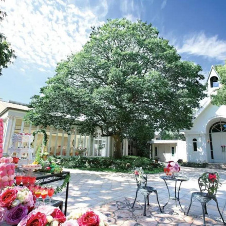 アンジュ・デ・ラヴィ