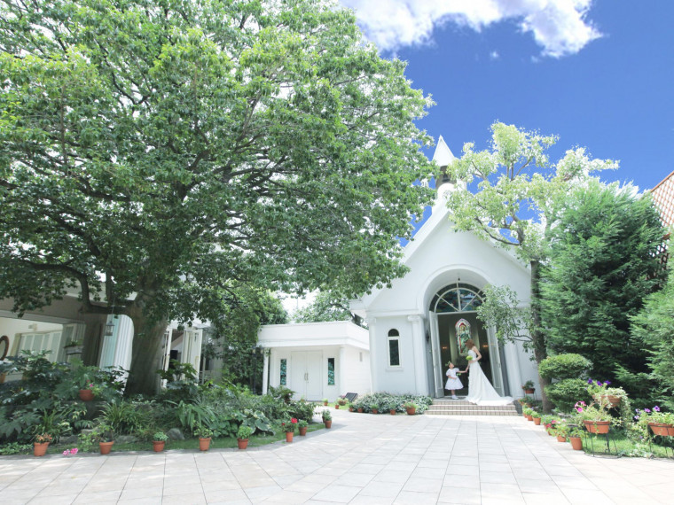 20名475,200円でアットホームな結婚式を