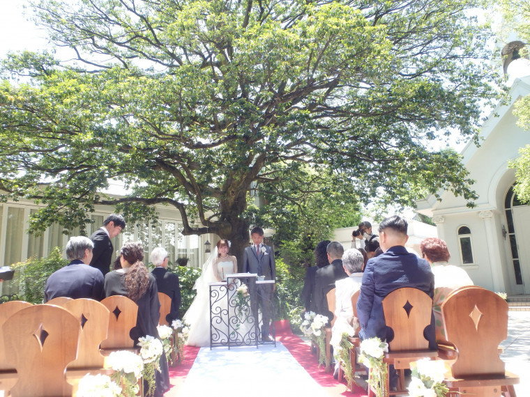 緑と青空の下のお庭でウェディング