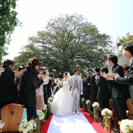 アンジュ・デ・ラヴィ