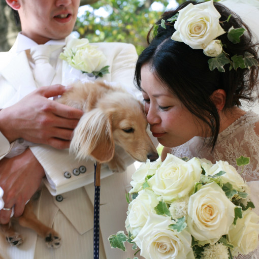 アンジュ・デ・ラヴィ