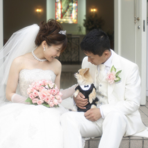 アンジュ・デ・ラヴィ