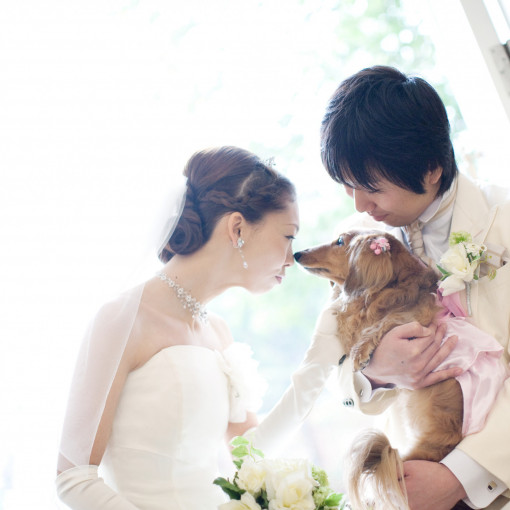 アンジュ・デ・ラヴィ