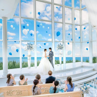 【年末限定】Wケーキ1台プレゼント×ドレス2着無料*無料試食