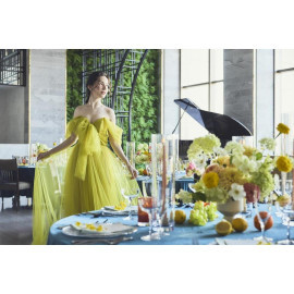 【衣裳重視の方必見！】花嫁ALL体験★大聖堂×新作ドレス×黒毛和牛試食