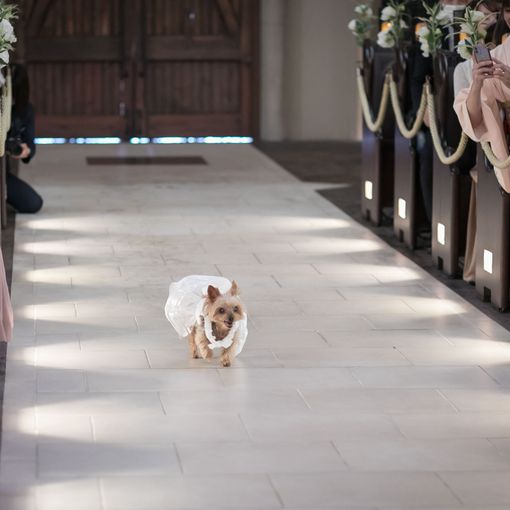 St. ヴァレンタイン福山/FIVESTAR WEDDINGの結婚式の公式写真（2枚目）
