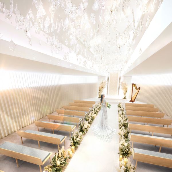 若松河田駅で人気の結婚式 結婚式場を探す ウエディングパーク