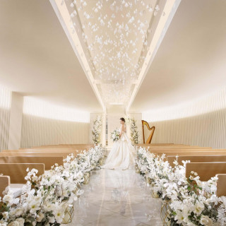 【1件目ご来館限定】挙式料半額プレゼント