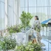 ララシャンス 太陽の丘