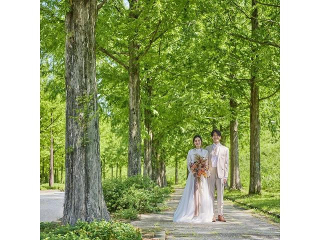 【来館特典】最大6万来館特典♪1件目orAM来館がお勧め