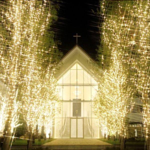 県内最大のイルミネーションの輝きがお二人の結婚式を彩る|ララシャンス 太陽の丘の写真(384437)