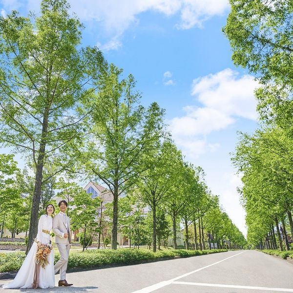 800mの並木道の先に非日常的な一日をご提案♪|ララシャンス 太陽の丘の写真(17945933)