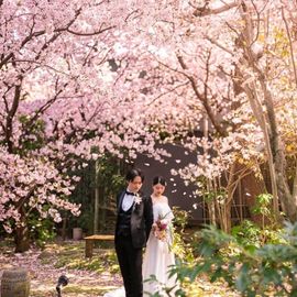 組数限定!ご負担金ゼロ|ご祝儀だけで叶う2027年春の婚礼【3~5月】