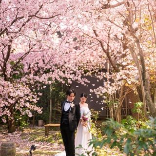 組数限定!ご負担金ゼロ|ご祝儀だけで叶う2027年春の婚礼【3~5月】