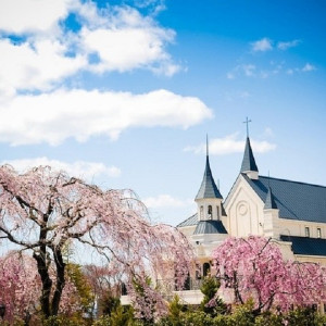 春はベルルクスの人気シーズンです!|ベルルクス・プチ(旧ベル・ルクス)の写真(10928377)