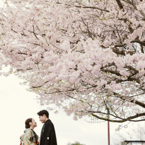 ロケーションフォト|ベルルクス・プチ(旧ベル・ルクス)の写真(56559346)